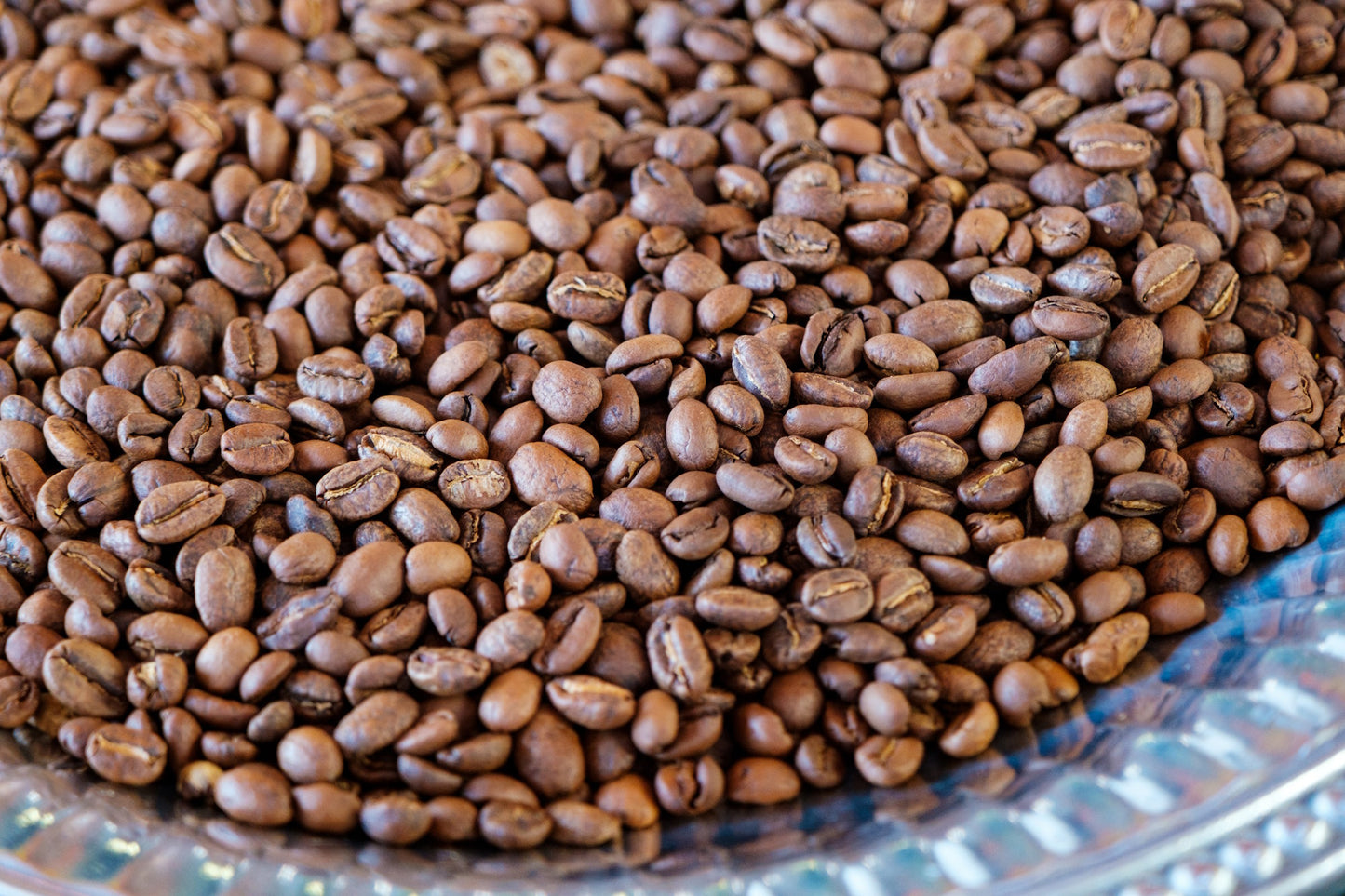 2023 Holiday Blend, 12 oz.