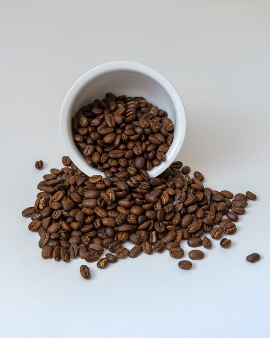 Honduras - Comayagua Santa Lucia Reserve