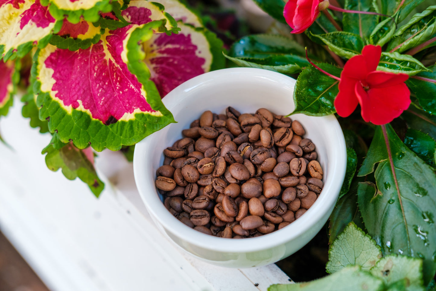 Tanzania - Ngorongoro Finagro Estate, 12 oz.