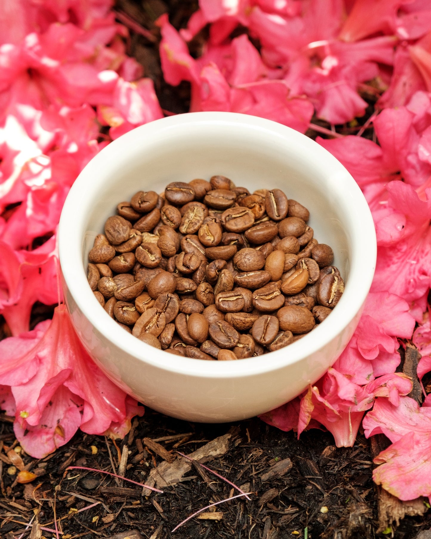 Colombia -Tolima Finca La Leona, 12 oz.