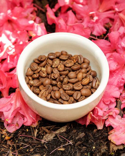 Colombia -Tolima Finca La Leona, 12 oz.