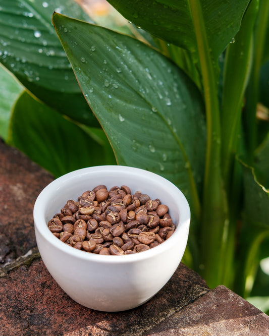 Kenya - Muranga Gatagua AA, 12 oz.