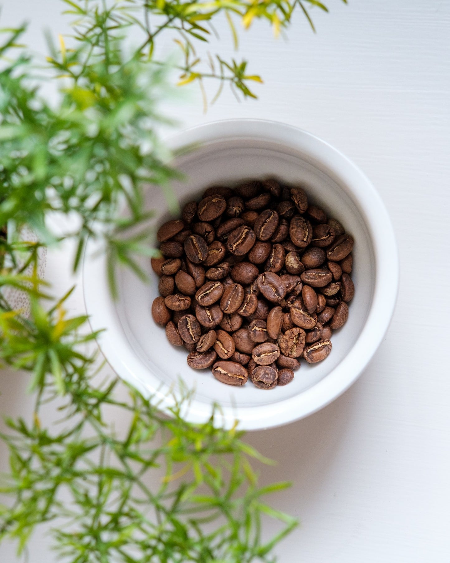 Ethiopia - Yirgacheffe, 12 oz.